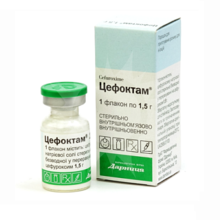 Цефоктам
