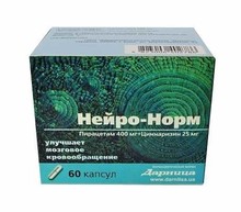 Нейро-норм