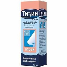 Тизин ксило