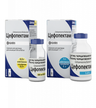 Цефопектам