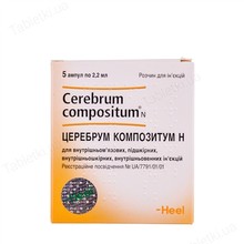 Церебрум композитум Н